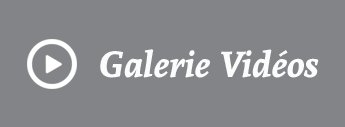 Gallerie Vidéos